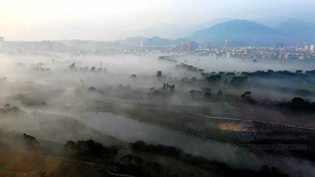 植物大战僵尸：花园战争