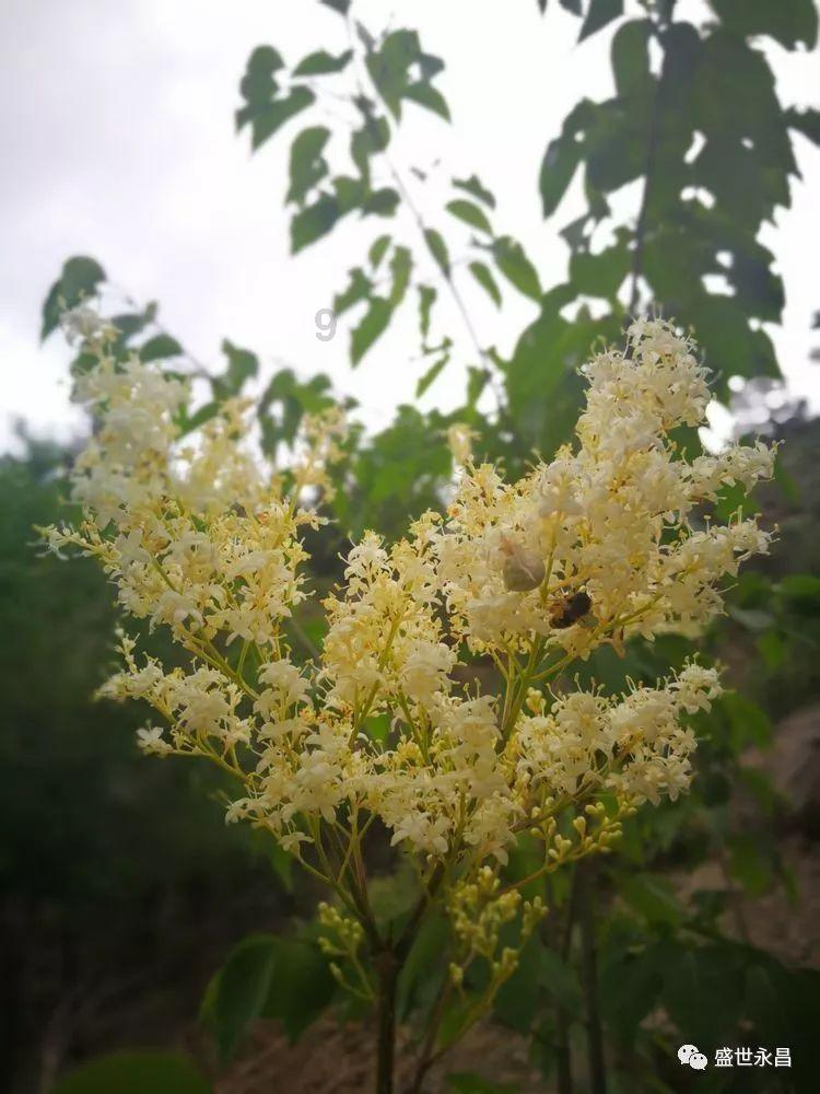 探索神秘小屋